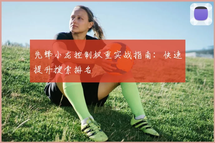 先锋小龙控制权重实战指南:快速提升搜索排名