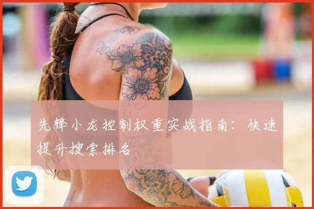 先锋小龙控制权重实战指南:快速提升搜索排名